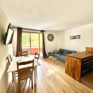 Appartement Grand Studio Cabine Pieds Des Pistes